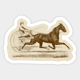 Harness Racing Horse Vintage Illustration Sticker